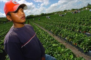 Inmigración