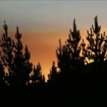 En abril de 2014, Valparaíso fue escenario de un gigantesco incendio que afectó a doce barrios de esta ciudad, buena parte de la cual se asienta sobre las laderas de las montañas que circundan la bahía. EFE/Archivo
