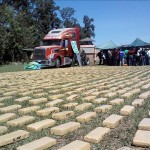Fotografía cedida por la Agencia Boliviana de Información (ABI) de la presentación, este 7 de septiembre de 2015, por parte de la policía de Bolivia del decomisó de alrededor de una tonelada y media de marihuana en la zona del Chaco (sureste), cerca de la frontera con Paraguay, que tenían como destino los mercados de Argentina y Chile. EFE