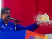 El silencio del pájaro