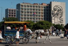 Con versiones en inglés y español, el libro será presentado el 30 de mayo en Washington durante el próximo congreso de la Asociación de Estudios Latinoamericanos (LASA) y se prevé su posterior lanzamiento en Cuba. EFE/Archivo