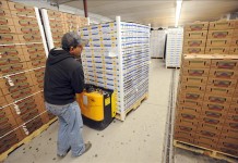 Un trabajador transporta cajas de frutas a un frigorífico. EFE/Archivo