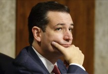 El senador estadounidense Ted Cruz. EFE/Archivo
