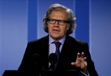 El secretario general de la OEA, Luis Almagro, habla este 24 de agosto de 2015, en el Palacio de Nariño de Bogotá (Colombia). EFE