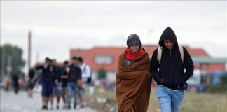 Refugiados cruzan la frontera en la localidad austríaca de Nickelsdorf, tras salir desde Hungría. EFE