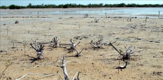 Tomás Gutiérrez, especialista del Instituto de Meteorología, advirtió que Cuba ya está notablemente afectada por el fenómeno del cambio climático porque se observa una mayor frecuencia de eventos extremos. EFE/Archivo