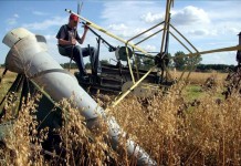 El ministro indicó que entre 2011 y 2014 las agroexportaciones se convirtieron en el segundo generador de divisas en Perú, con un promedio anual de exportaciones de 4.724 millones de dólares y una tasa de crecimiento de 17 %. EFE/Archivo