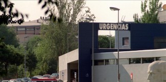 Tanto el dengue como el zika y el chikunguña son transmitidos por el mosquito Aedes aegypti. Archivo
